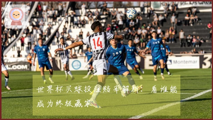 世界杯买球投注赔率解析：看谁能成为终极赢家