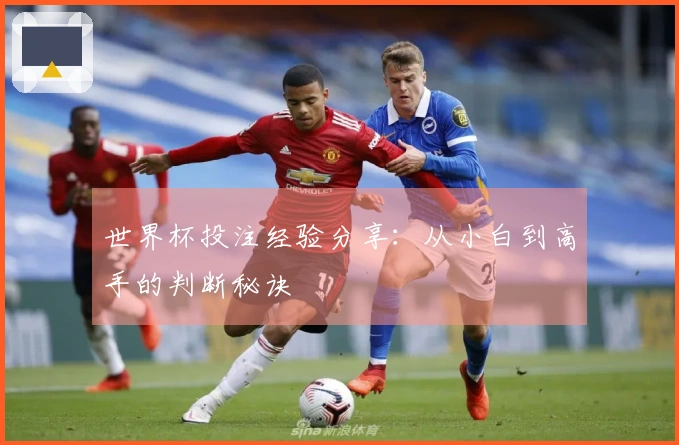 世界杯投注经验分享：从小白到高手的判断秘诀