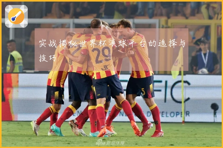 实战揭秘世界杯滚球平台的选择与技巧