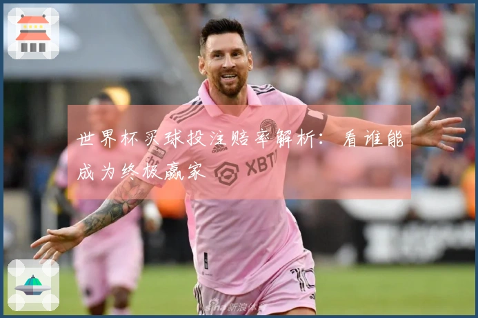 世界杯买球投注赔率解析：看谁能成为终极赢家