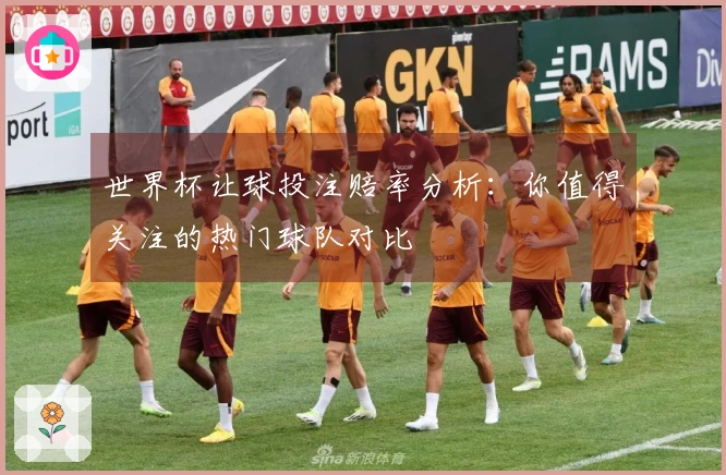 世界杯让球投注赔率分析：你值得关注的热门球队对比