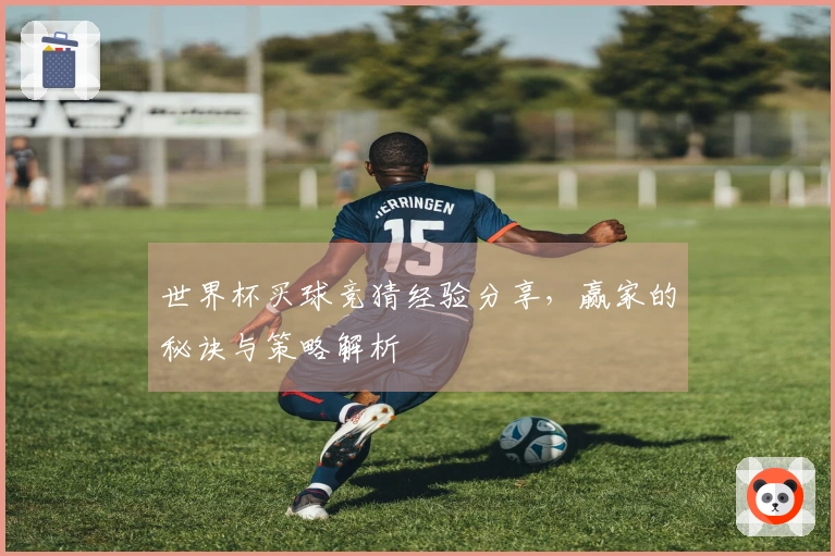 世界杯买球竞猜经验分享，赢家的秘诀与策略解析