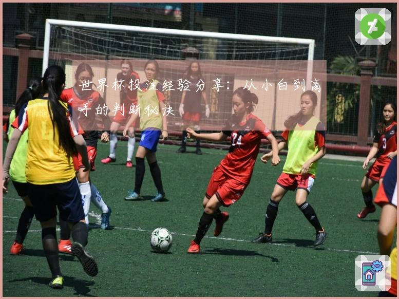 世界杯投注经验分享：从小白到高手的判断秘诀