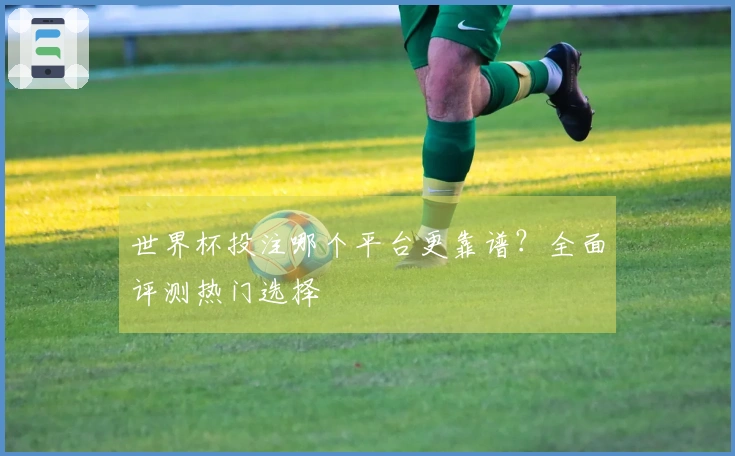 世界杯投注哪个平台更靠谱？全面评测热门选择